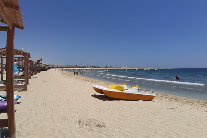 Swim Alongside Sea Turtles in Abu Dabbab, Marsa Alam  - Safaga - Photography Service