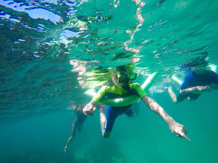 Sydney: Manly and Shelly Beach Snorkeling Tour - Customer Reviews