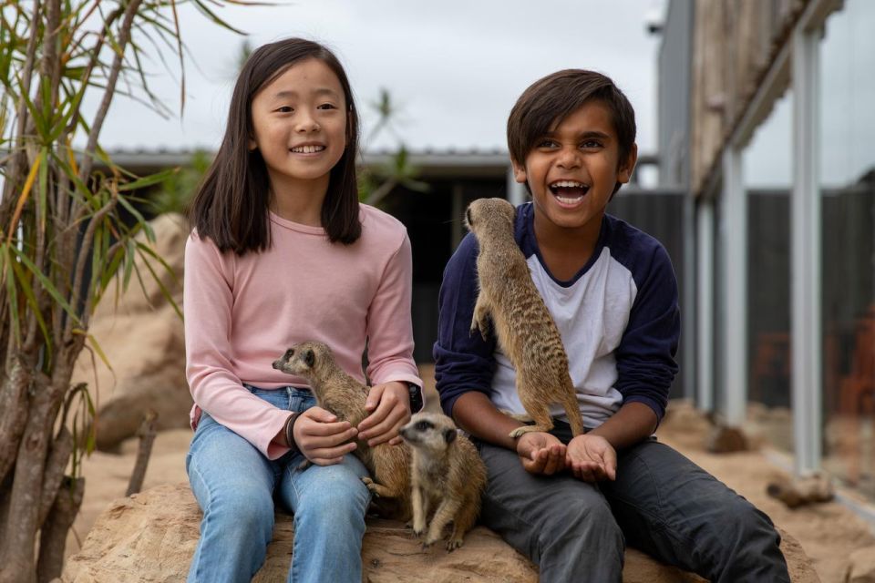 Sydney: Sydney Zoo Admission Ticket - Activities