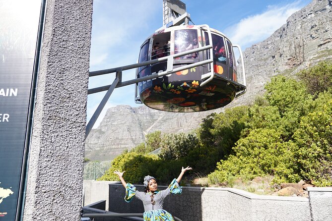 Table Mountain, Boulders Penguins & Cape Point Private Tour From Cape Town - Tour Highlights