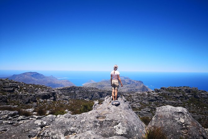 Table Mountain Half Day Hike: Platteklip Gorge - Traveler Information