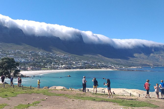 Table Mountain, Penguins, Cape of Good Hope and Stellenbosch Tour - Review Ratings and Authenticity