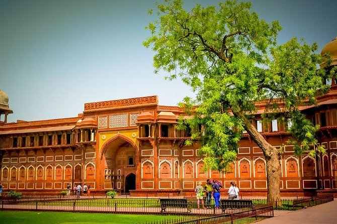 Taj Mahal & Agra Fort Tour From Agra City - Language Options and Services