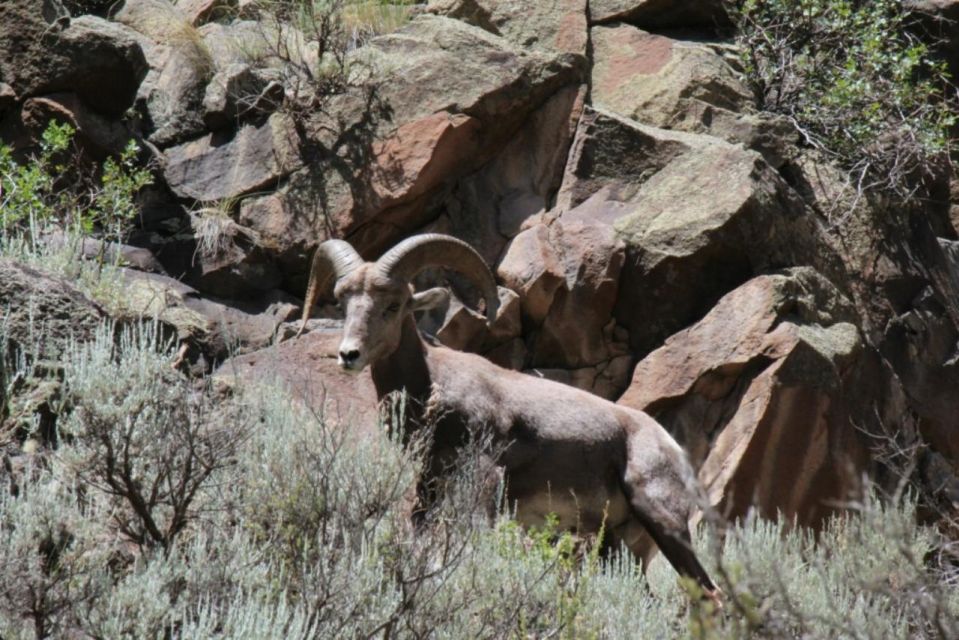 Taos/Santa Fe: Rio Grande Half-Day Float Trip - Booking Information