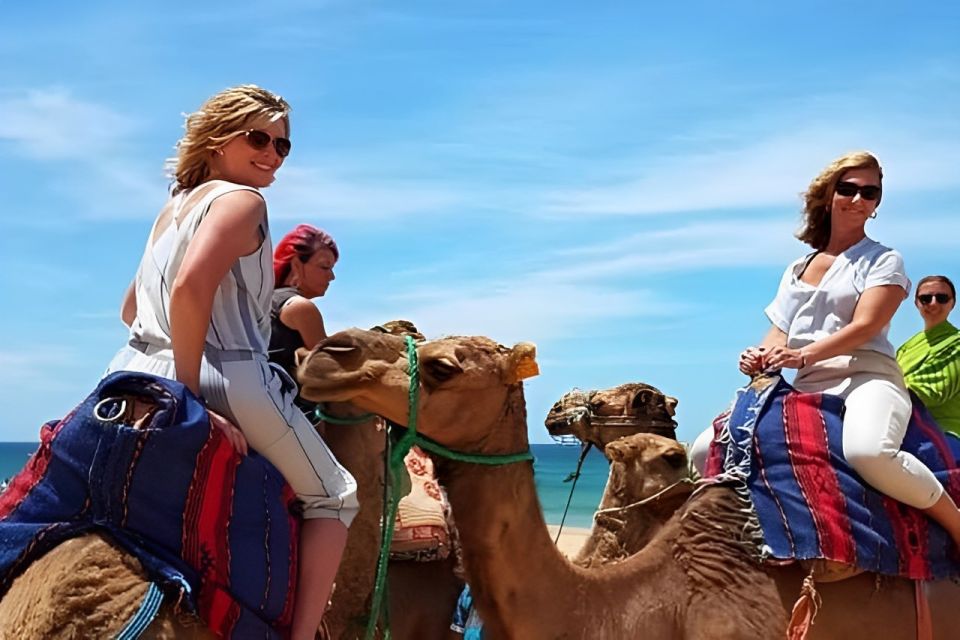 Tarifa/Algeciras: Tangier Private Day Tour With Ferry Ticket - Tour Guide