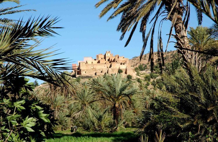Taroudant and Tiout Oasis Trip With Lunch - Transportation Details