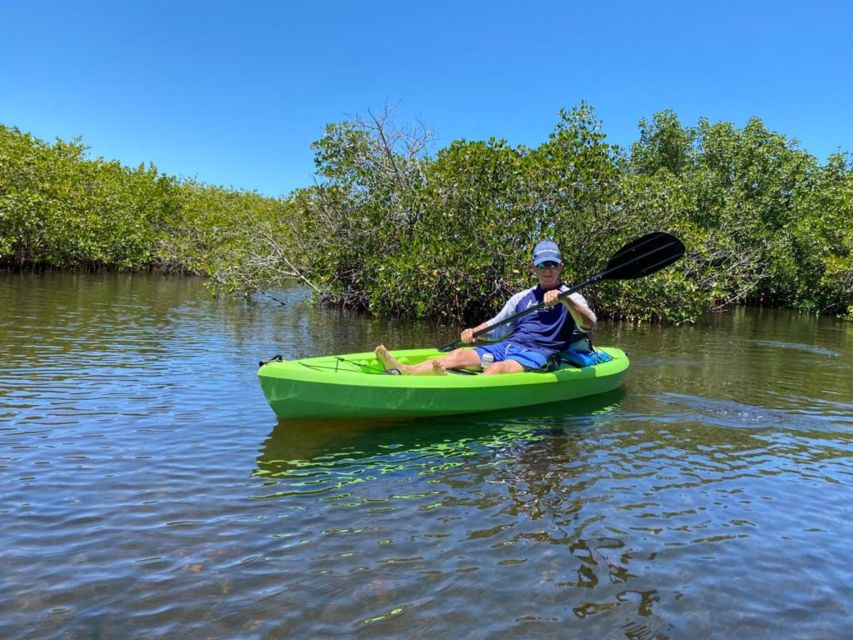 Tarpon Springs: Guided Anclote River Kayaking Tour - Inclusions and Logistics