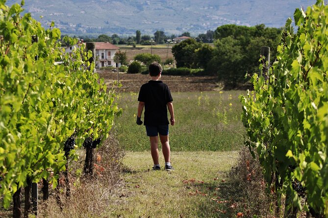 Tasting Selection of 4 Wines in Montefalco - Enhancing Your Wine Experience