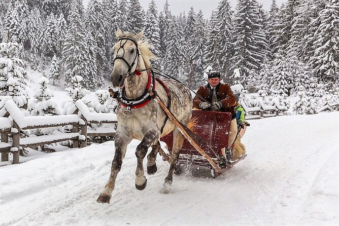 Tatra Mountain Sleigh Ride in Zakopane From Kraków - Common questions