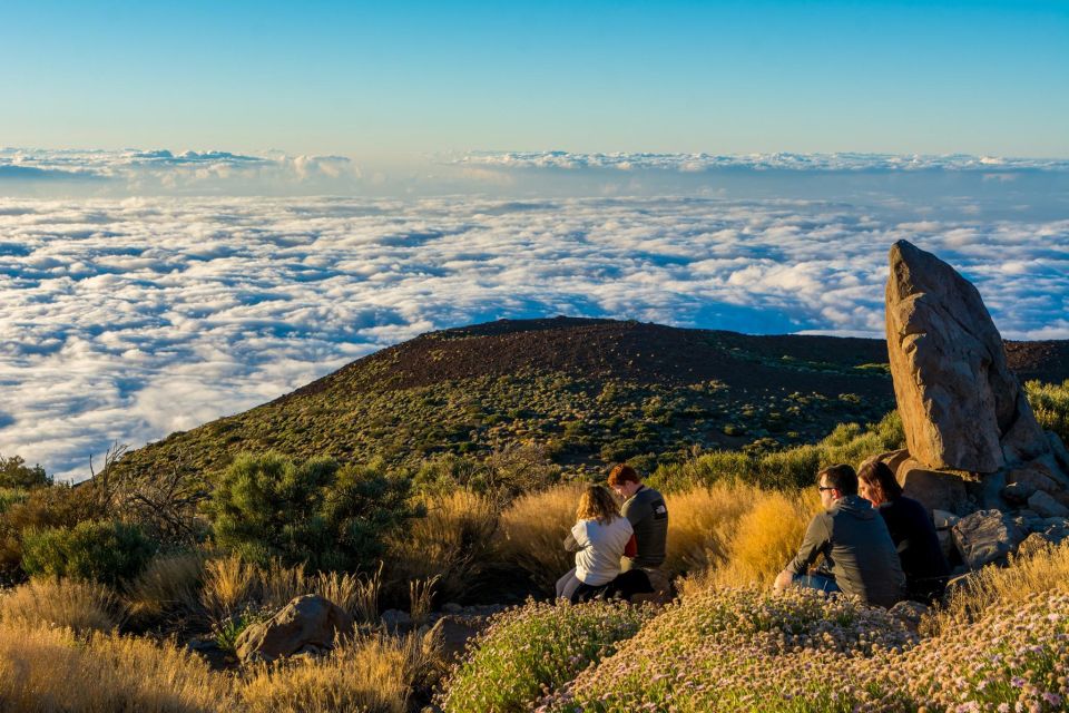 Teide: Guided Sunset and Stargazing Tour With Dinner - Detailed Description