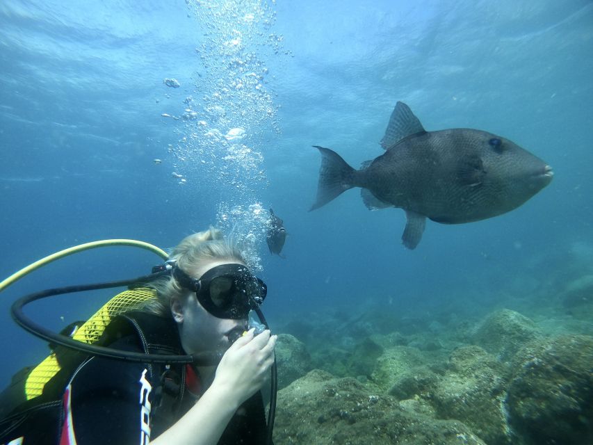 Tenerife : Diving License in One Day - Activity Details