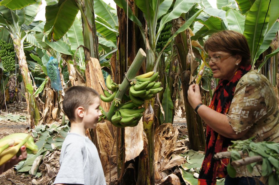 Tenerife: Finca Las Margaritas Banana Plantation Experience - Booking Information