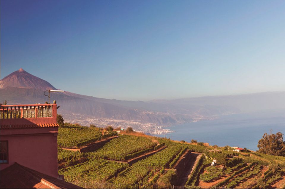 Tenerife: Full-Day Gastronomy and Wine Tour - Booking Details and Flexibility