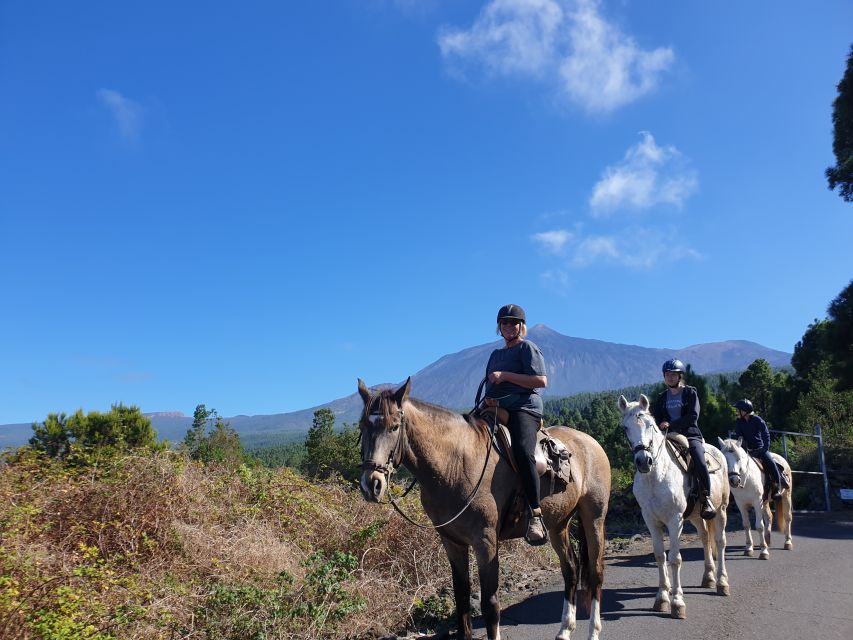 Tenerife: Guided Horseback Riding Tour to the Lomo Forest - Activity Highlights