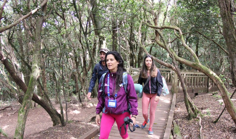 Tenerife: Guided Mindful Hike in Anaga Biosphere Reserve - Special Accommodations