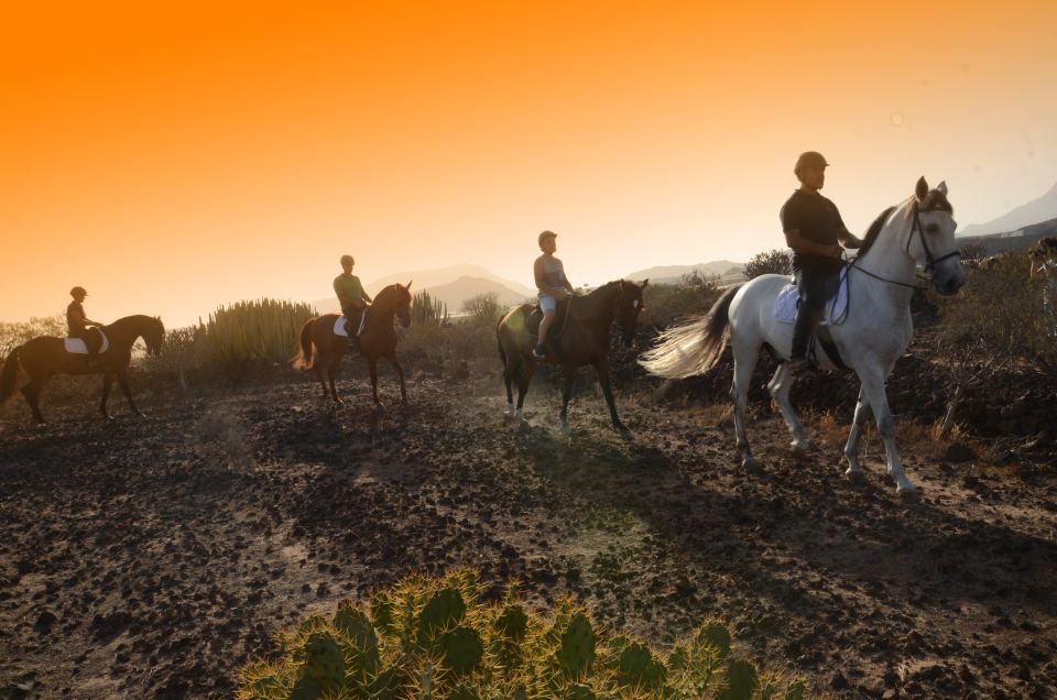 Tenerife: Horseback Ride With Instructor - Activity Description