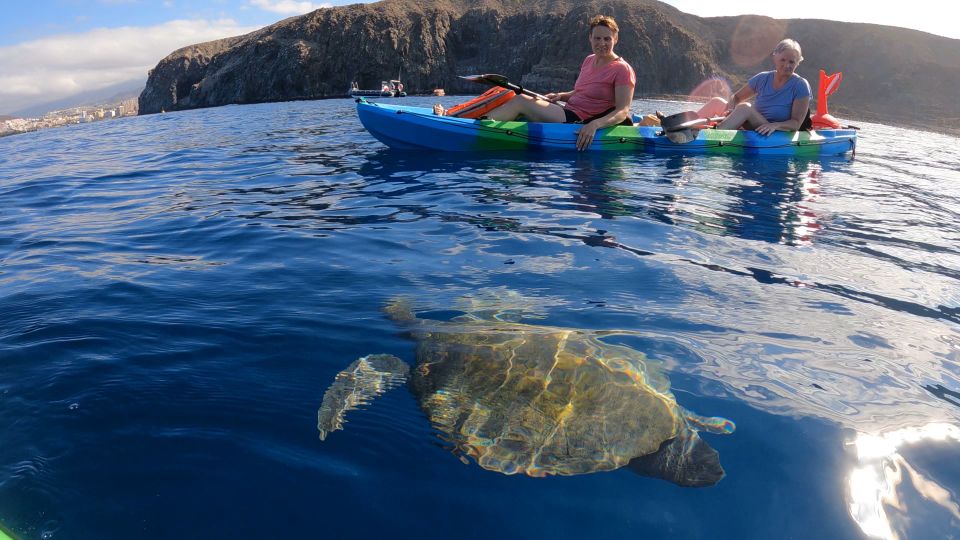 Tenerife: Kayak and Snorkel With Turtles - Provider Information: Canarykayaktenerife