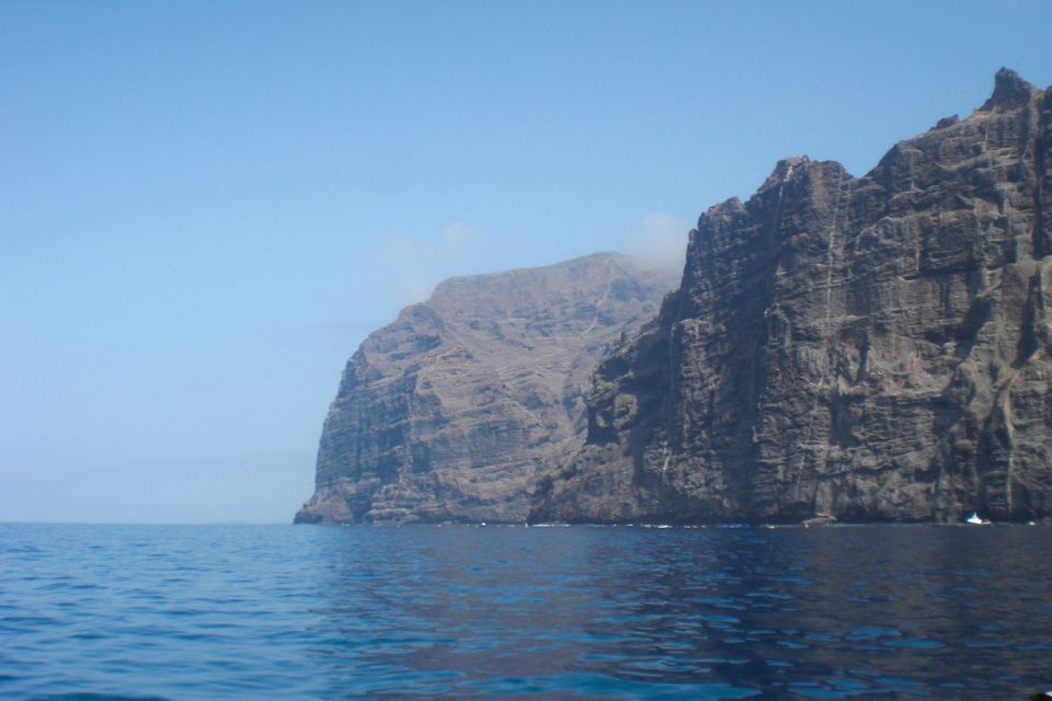 Tenerife: Luxury Private Whale & Dolphin Watching Tour - Full Description