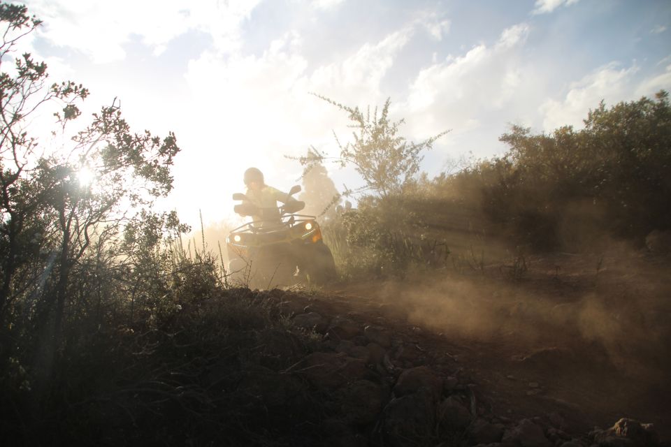 Tenerife: Panoramic Off-road Quad Bike Experience - Quad Bike Ride Experience