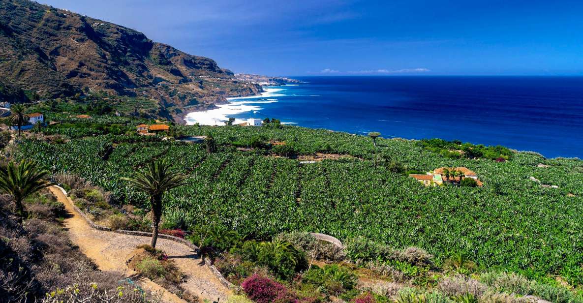 Tenerife Private Tour: Full-Day Historic North - Detailed Itinerary