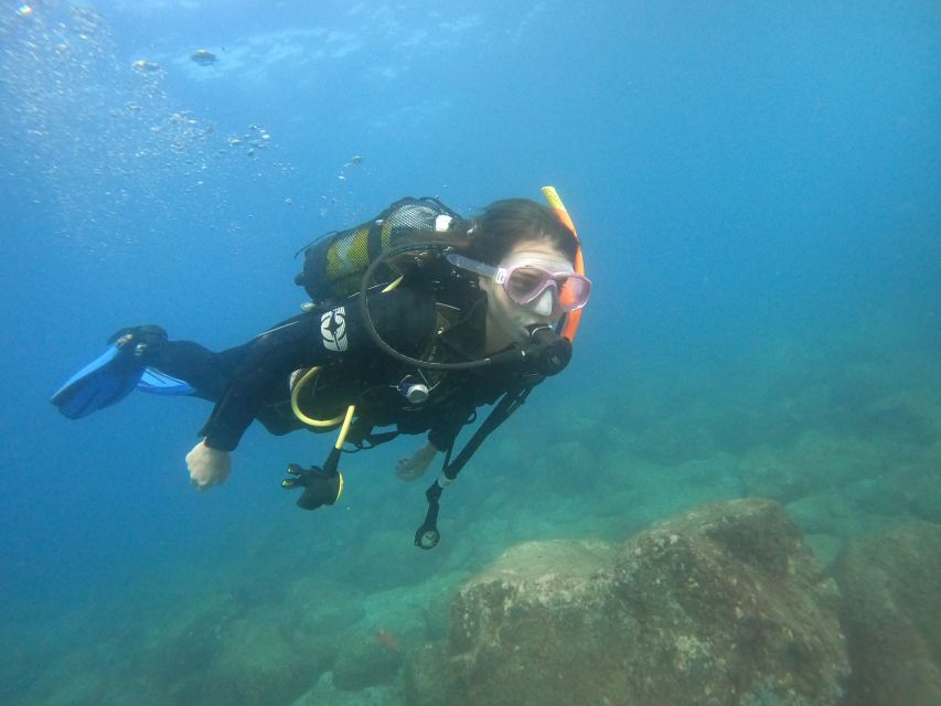 Tenerife: Puerto Colon Discover Scuba Diving Trip - Location and Reviews