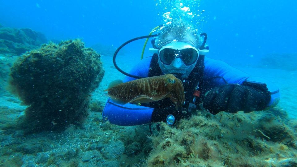 Tenerife: Scuba Diving Lesson and Abades Protected Area Dive - Customer Reviews