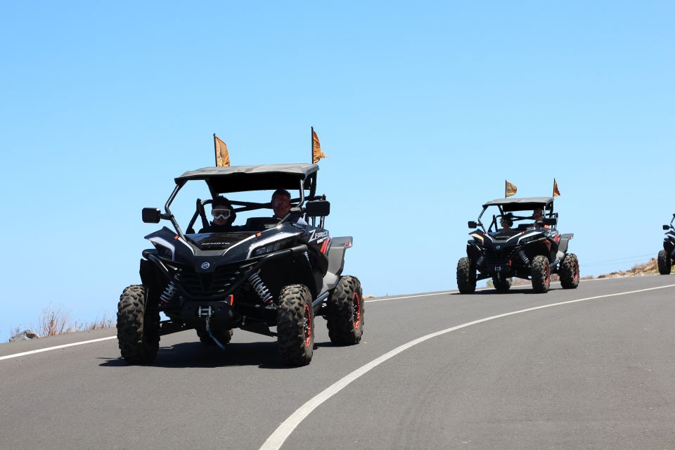 Tenerife: Teide Nacional Park Guided Morning Buggy Tour - Live Tour Guides