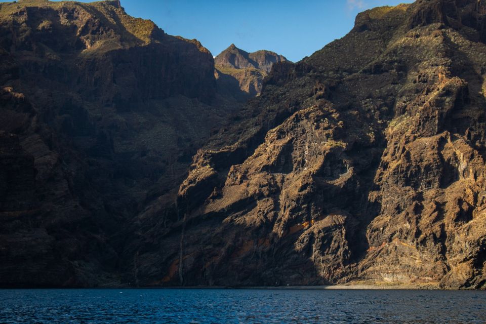 Tenerife: Teide National Park and Dolphins Sailboat Tour - Tour Inclusions