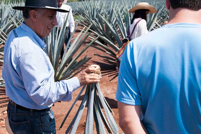 Tequila Distillery Experience, Jose Cuervo & Tequila Magic Town - Customer Reviews