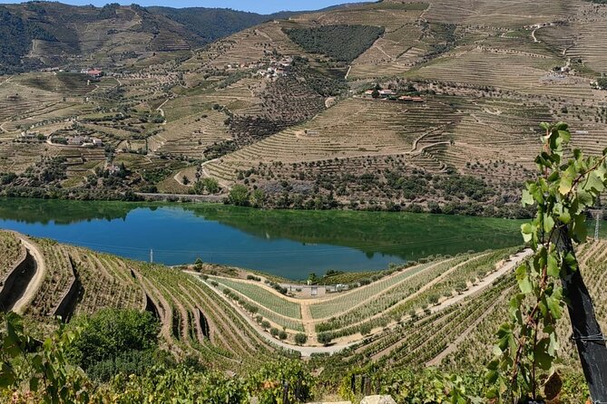 The Best Douro Wine Tour - Directions for the Douro Wine Tour
