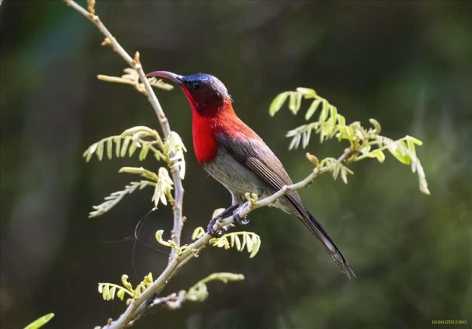 The Best Easy Trek Cuc Phuong National Park - Itinerary