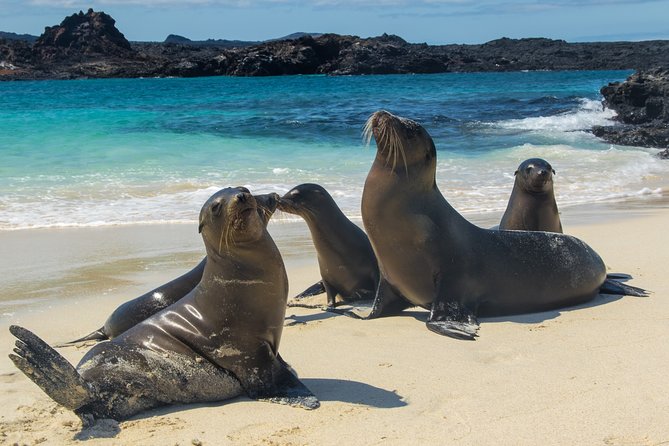 The Best of Ecuador & Galapagos 12 Days / 11 Nights - Meals and Dining Options