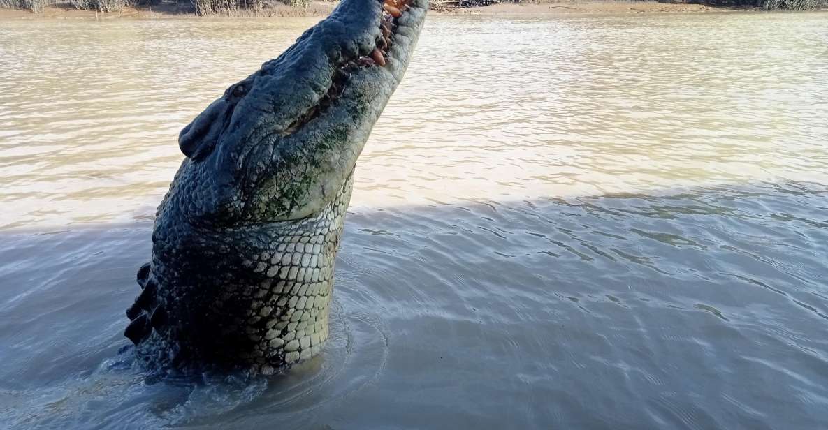 The Best Tour of Litchfield and Crocodiles on the River - Tour Inclusions