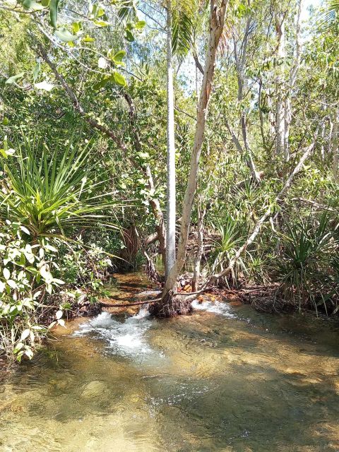 The Best Tour of Litchfield and the Giant Crocodiles. ITA - Booking Information and Contact Details