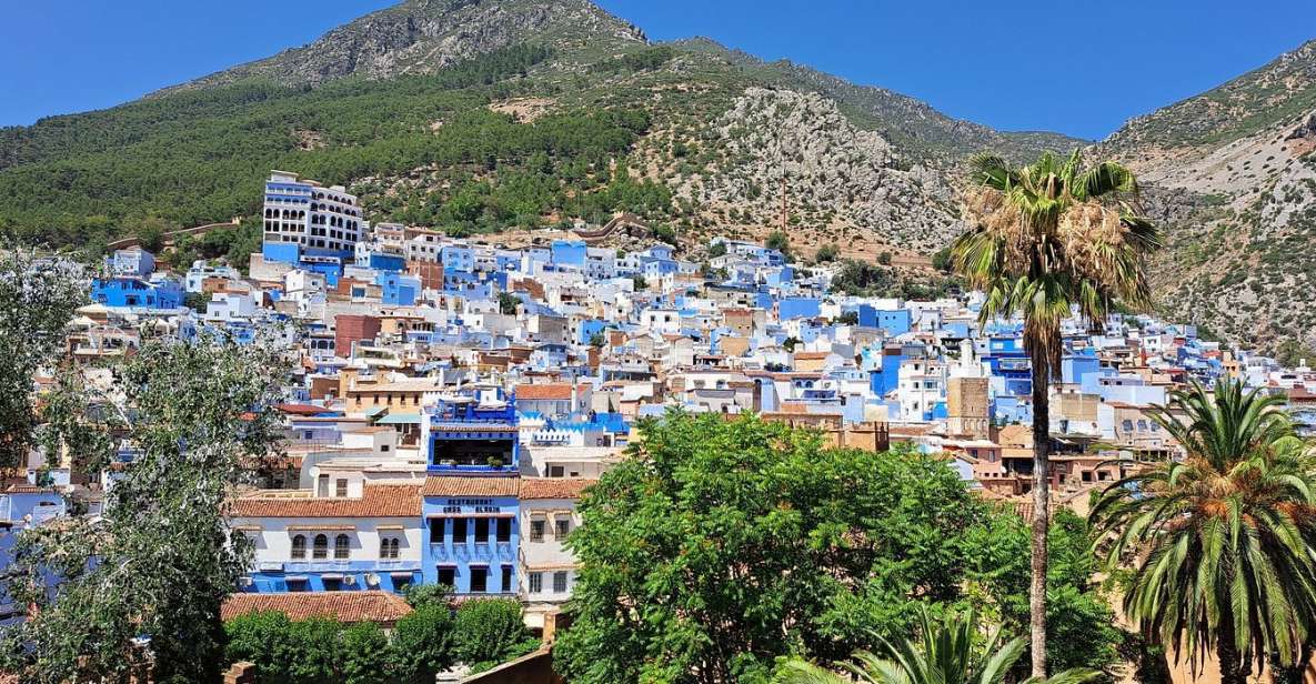The Blue Magic Marvel: Fez to Chefchaouen Day Tour" - Itinerary