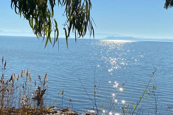 The Spell of Lake Trasimeno - Trekking Tour - Meeting and Logistics