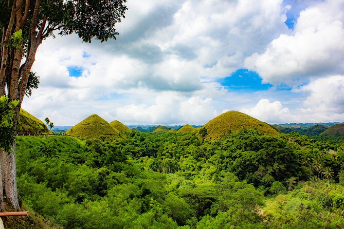 The Tour of the Must-See Sites of Bohol - Pricing Details