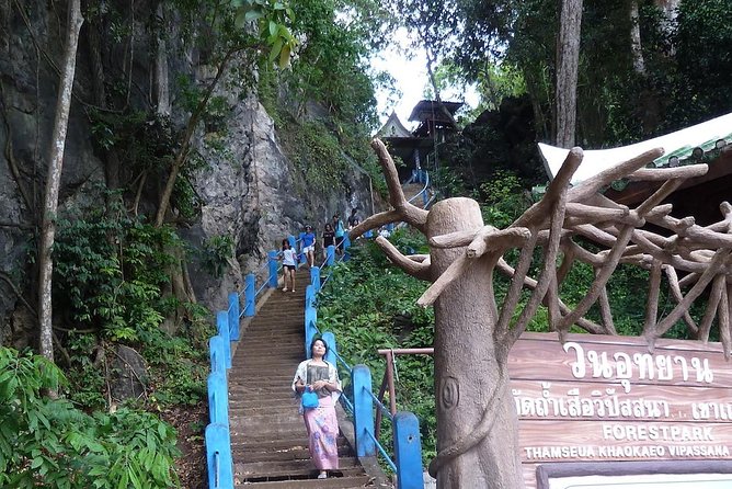 The Wonders of Thailands Last Lowland Rainforest - Guided Hiking Through Lush Greenery