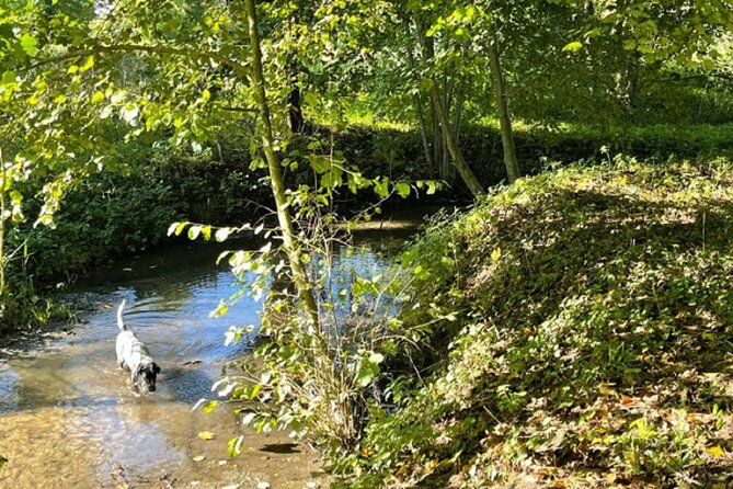 Theater and Walk Ghosts of the Bièvre Valley - Scenic Walks Along the Bièvre