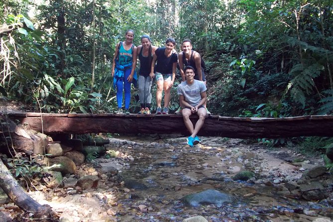 Tijuca Forest Hiking Tour Including Waterfalls - Common questions