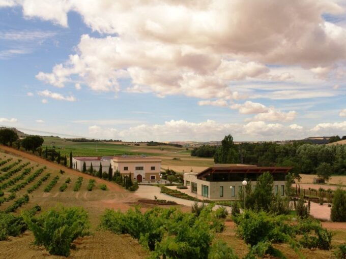 Toro: Piedra Winery Tour & Oak Barrel Tastings - Tour Highlights and Description