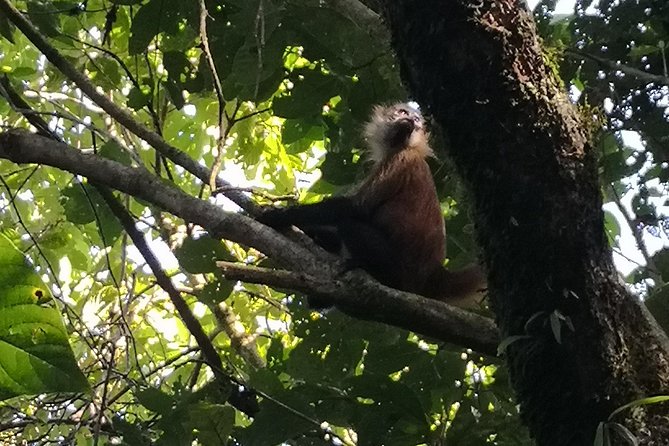 Tortuguero National Park Small-Group Hiking Tour - Cancellation Policy