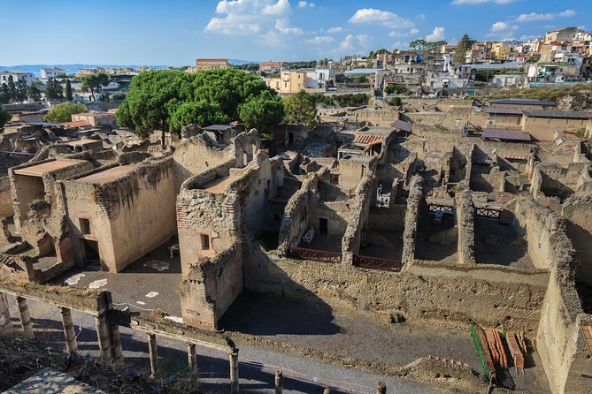 Tour of Herculaneum Skip the Line With Official Guide - Reviews and Ratings