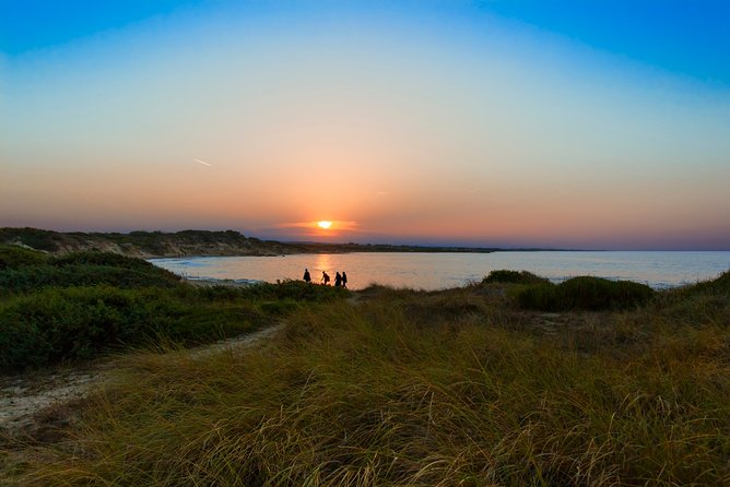 Tour of the Nature Reserve of Torre Guaceto - Picnic Areas