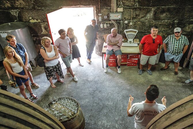 Tour to Douro, Premium Cruise, Lunch at the Farm and 2 Wineries - Wine Tasting at Two Estates