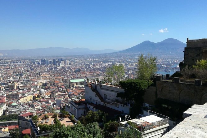 Tour to Pompeii and Vesuvius With Lunch Included - Customer Reviews
