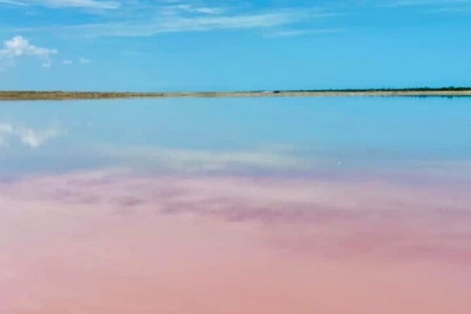 Tour to the Pink Lagoons & Río Lagartos From Merida - Tour Inclusions