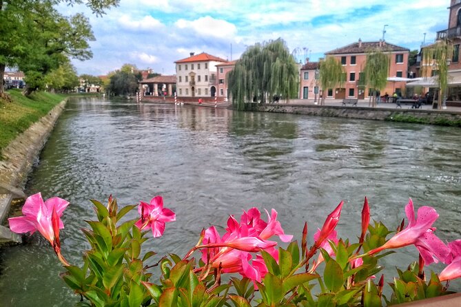 Tour to the Venetian Villas and the Brenta Riviera From Padua - Support Options