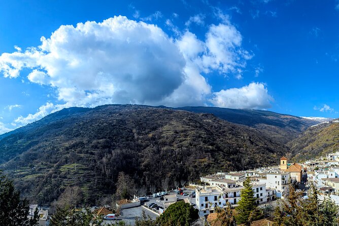 Touristic Highlights of Sierra Nevada on a Private Full Day Tour With a Local - Local Gastronomic Delights