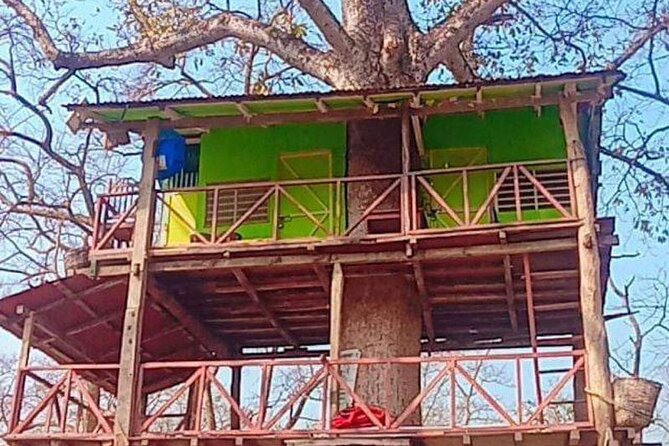 Tower Night Stay Bardia , Tree House Accommodation in Bardia - Pricing and Reservation Details